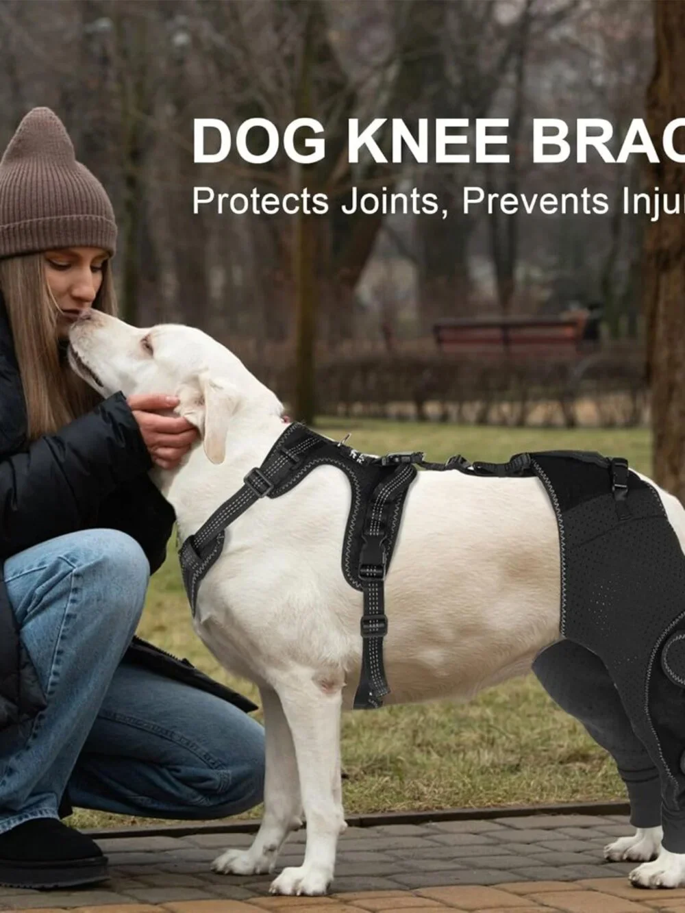 Dog ACL Knee Brace with Cruciate Ligament Injuries